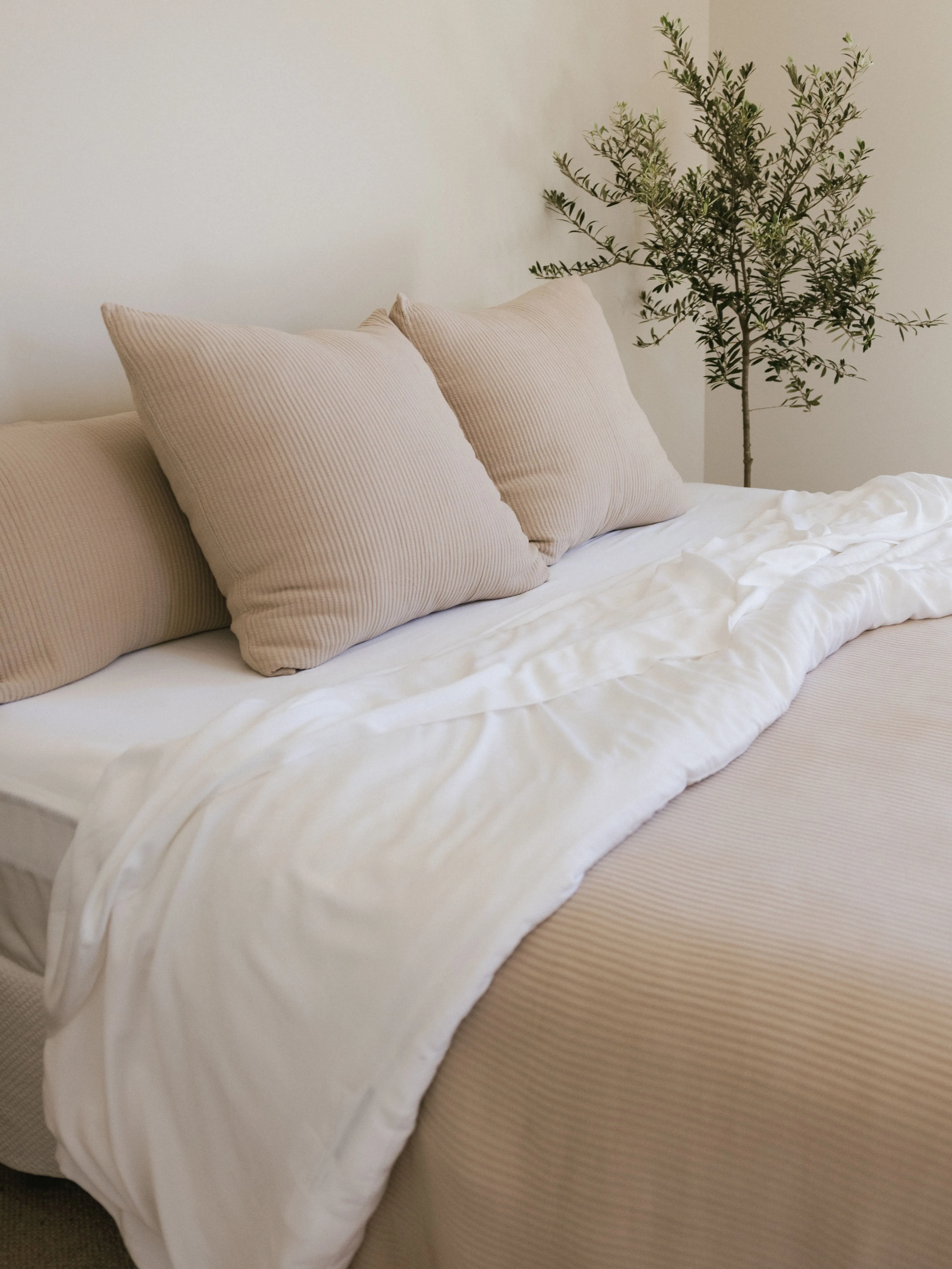 Bamboo Coverlet Euro Sham