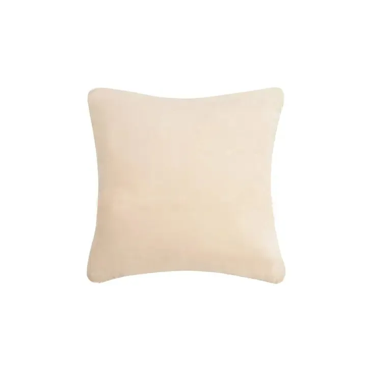 BUFFALO 🦬 Hook Pillow